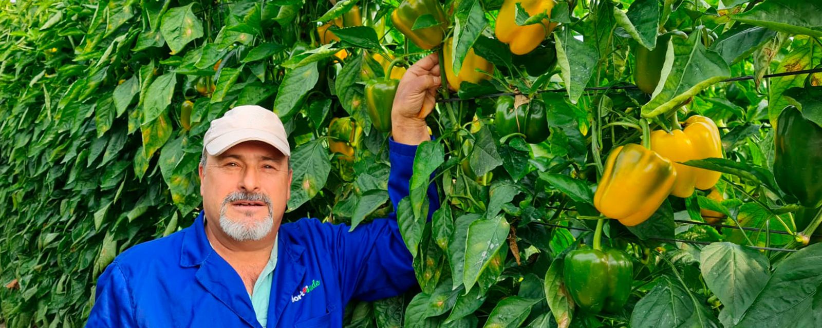 Hortoverde Nature S.L.