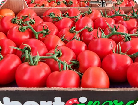 Pomodori